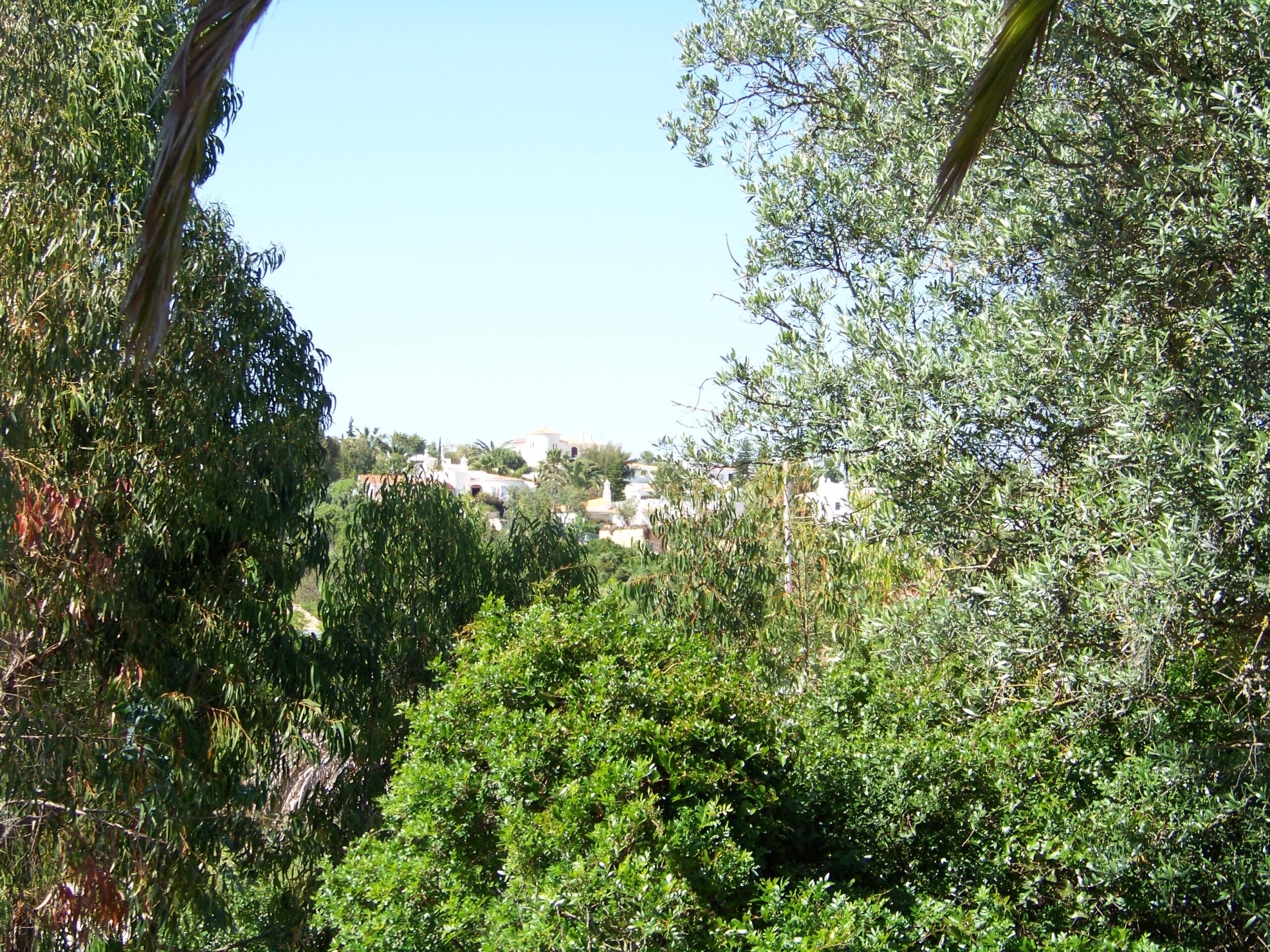 Garten des Castelo do Mar, Carvoeiro