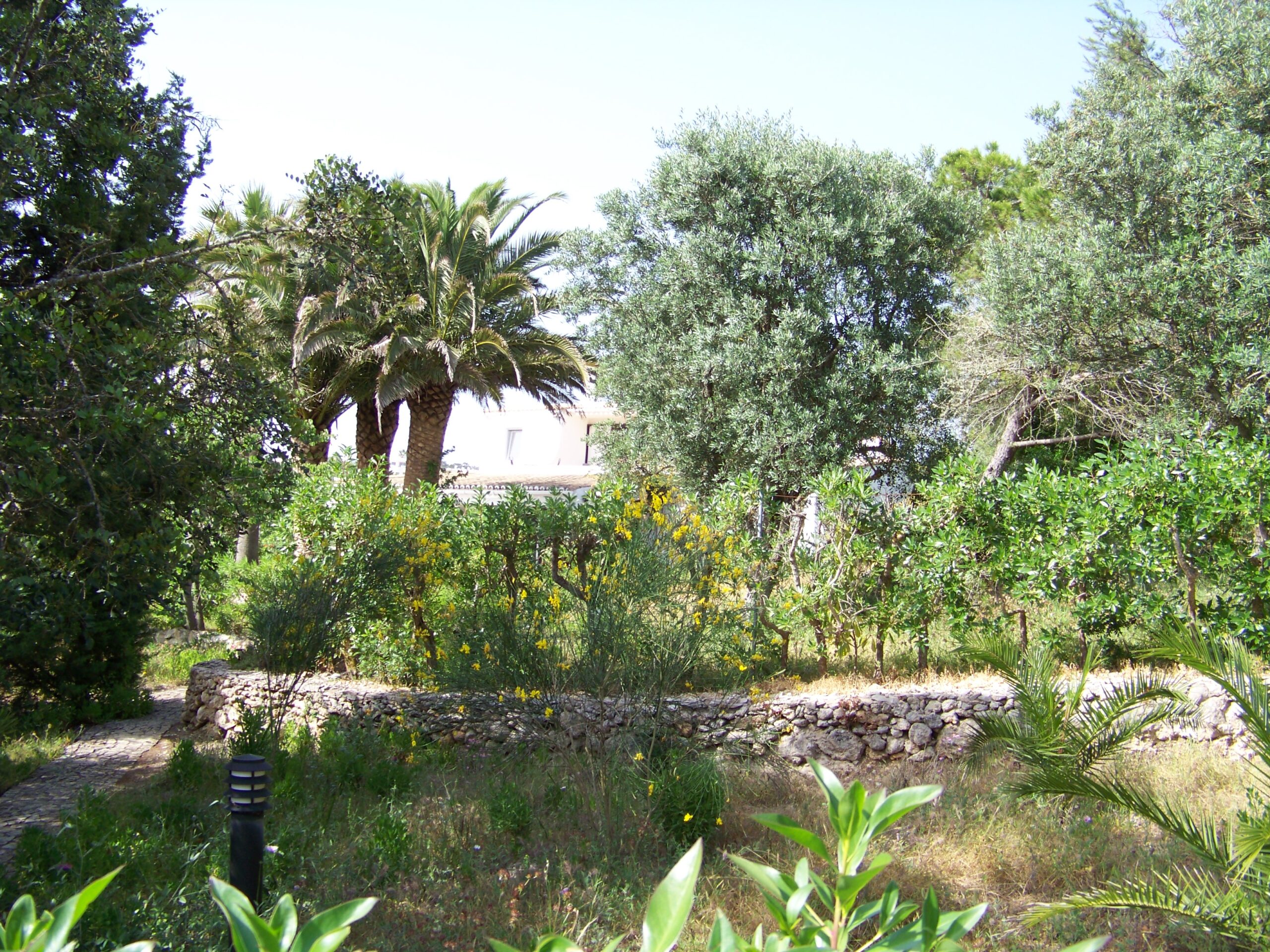 Garten des Castelo do Mar, Carvoeiro