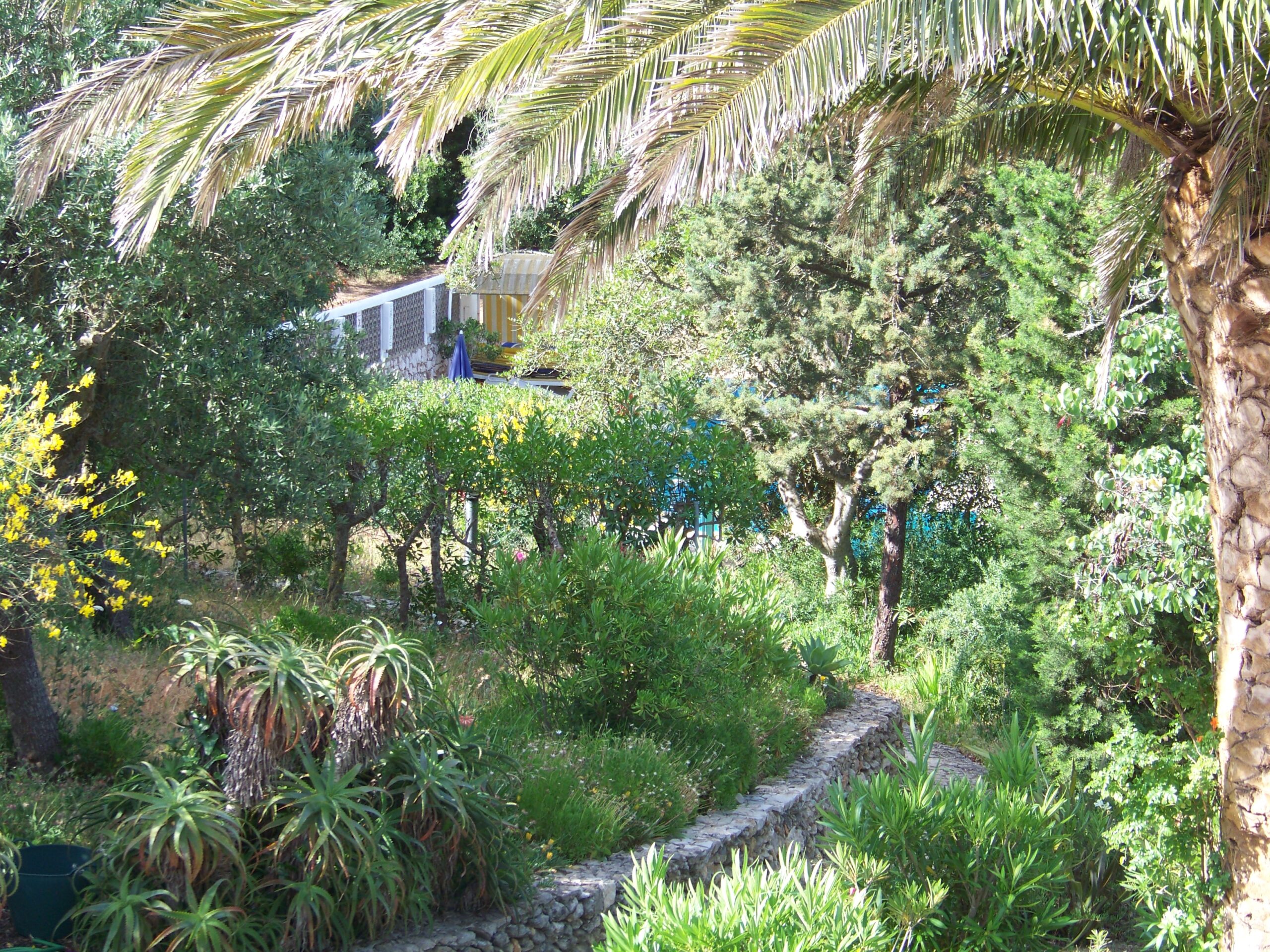 Garten des Castelo do Mar, Carvoeiro