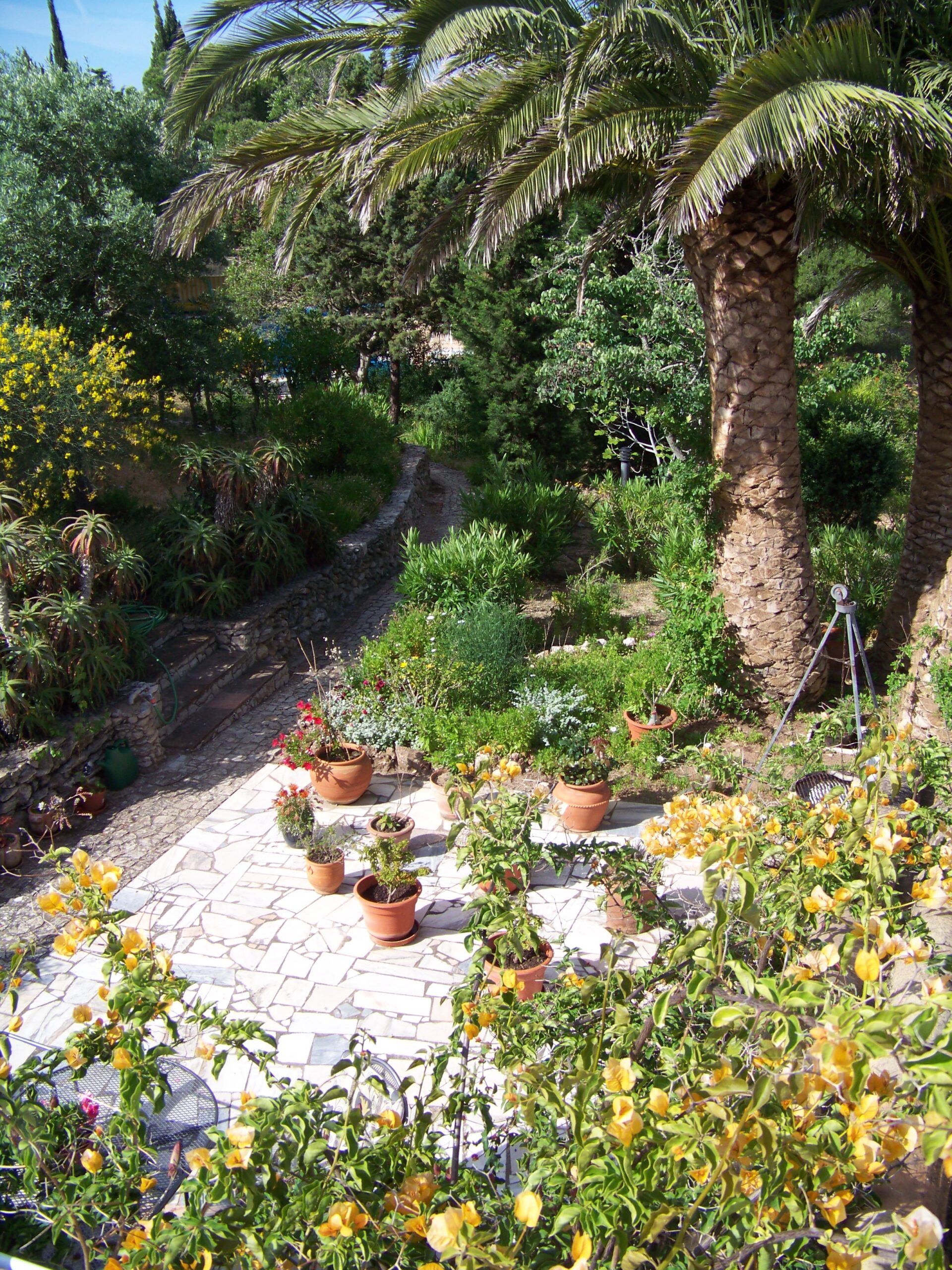 Garten des Castelo do Mar, Carvoeiro