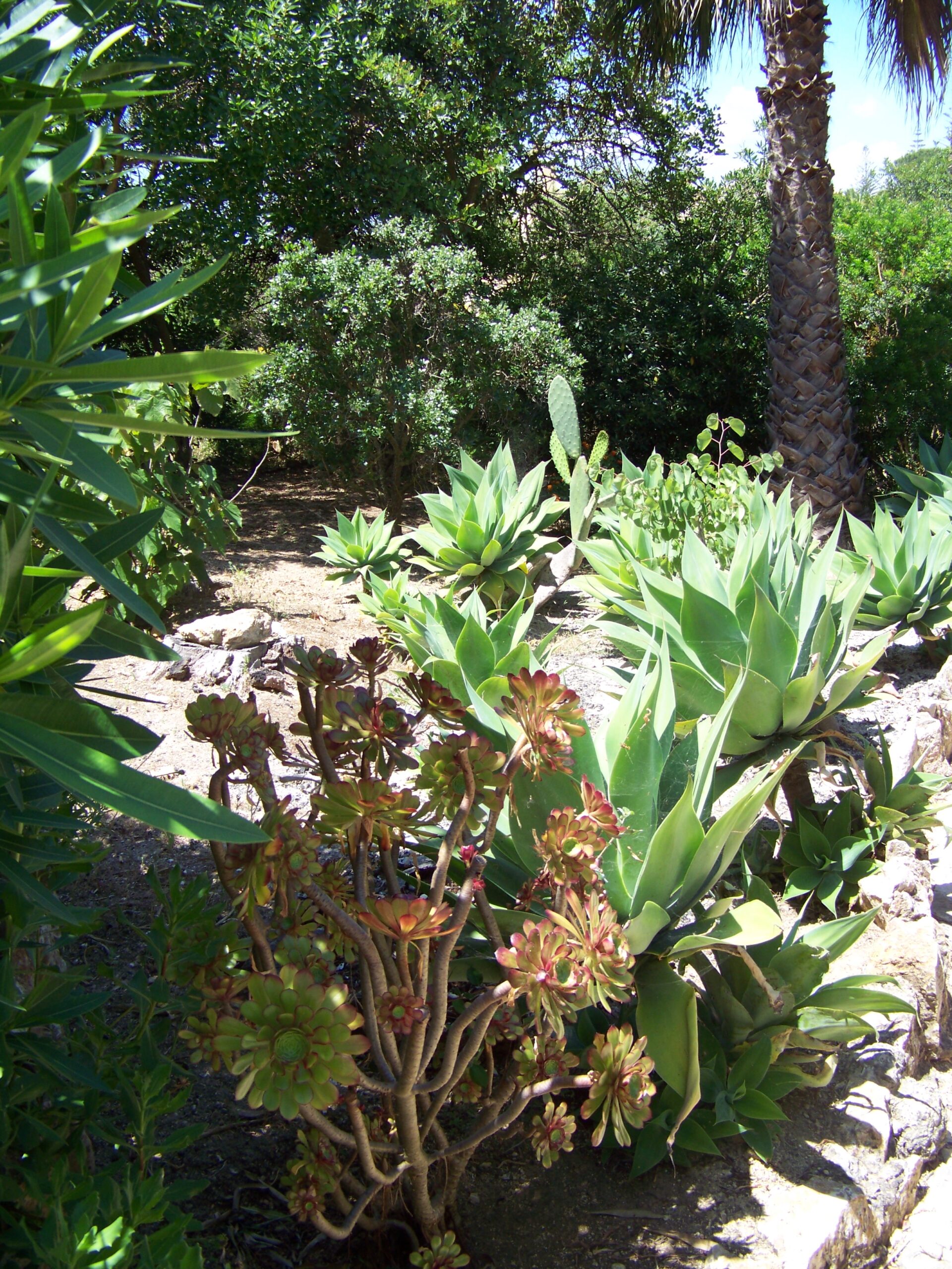 Garten des Castelo do Mar, Carvoeiro